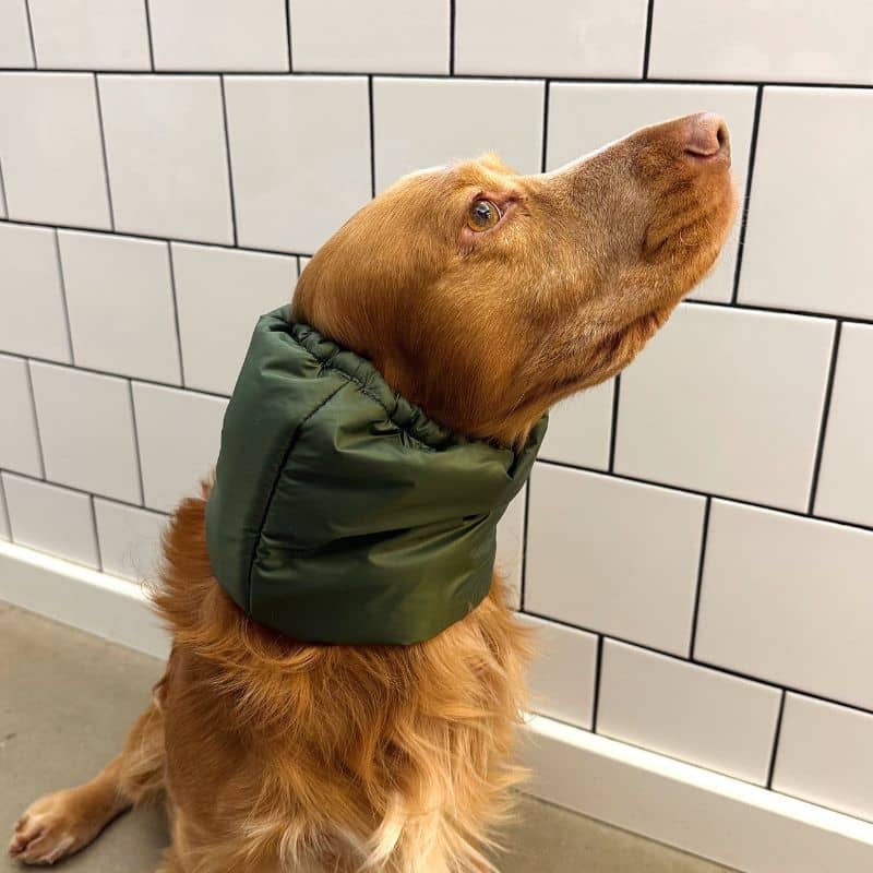 SNOOD HIVER WATERPROOF ET FOURRÉ POUR CHIEN - KAKI ET ROSE - Image 3