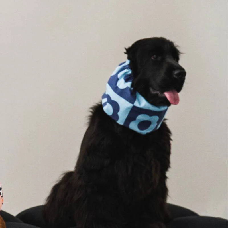 SNOOD POUR CHIEN EN COTON - FLEURS BLEUES RETRO - Image 3