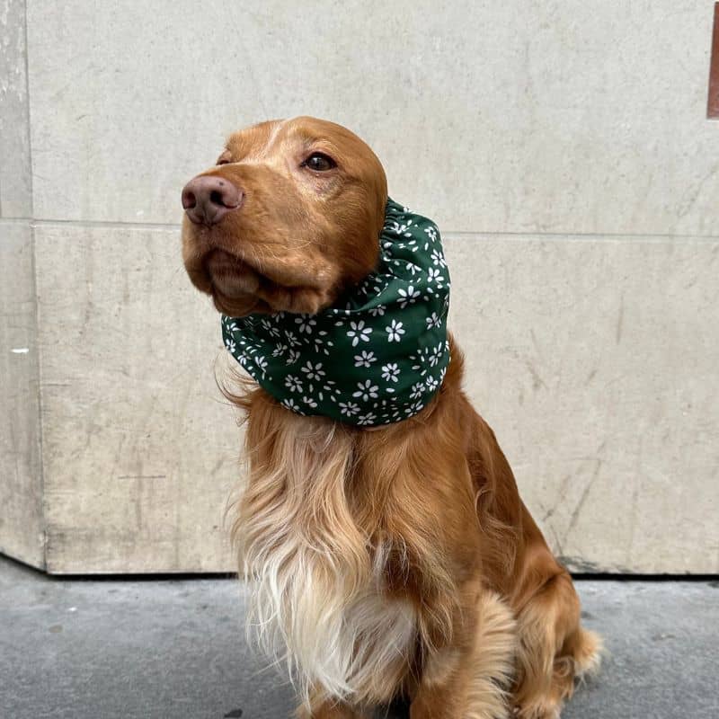 SNOOD POUR CHIEN EN COTON - VERT SAPIN & FLEURS BLANCHES - Image 2