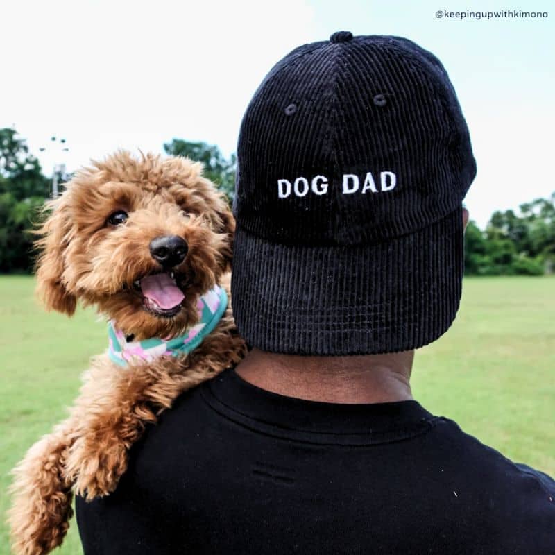 CASQUETTE EN VELOURS CÔTELÉ - DOG DAD (NOIR) - Image 2