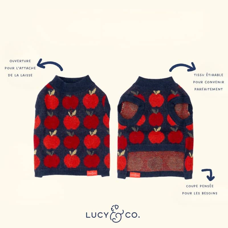 PULL POUR CHIEN - POMMES "APPLEY EVER AFTER" 🍎 - Image 5