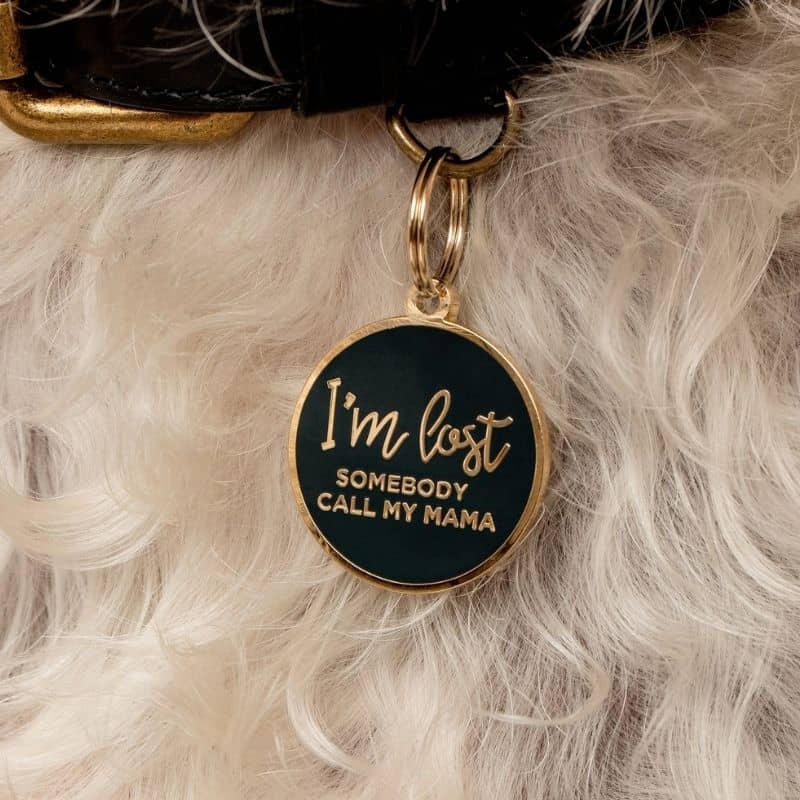 MÉDAILLE POUR CHIEN - I'M LOST SOMEBODY CALL MY MAMA 😱 - Image 3