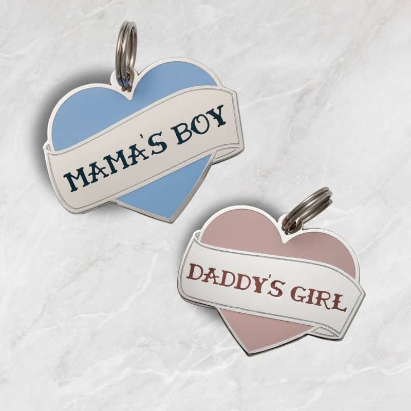 MÉDAILLE POUR CHIEN - MAMA'S BOY (FILS À MAMAN) - Image 3