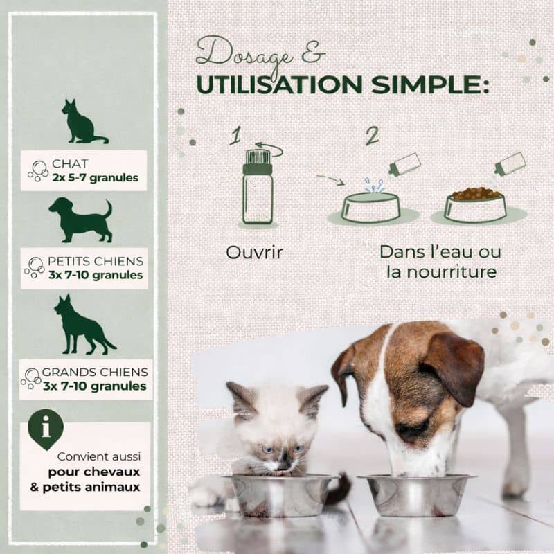 MÉLANGE DE FLEURS DE BACH POUR CHIEN ET CHAT N°1 - STRESS & ANXIÉTÉ - Image 3