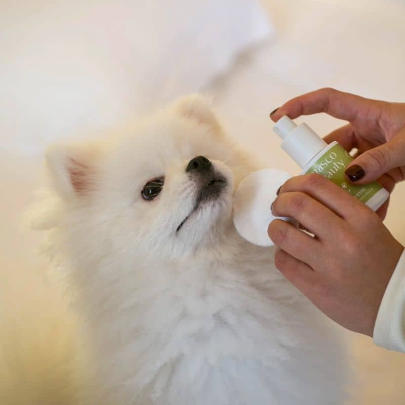 NETTOYANT POUR LES YEUX POWER EYES POUR CHIEN ET CHAT - Image 4