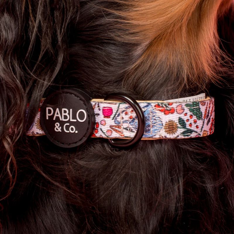 COLLIER POUR CHIEN TISSU - "FARMERS MARKET" - Image 3