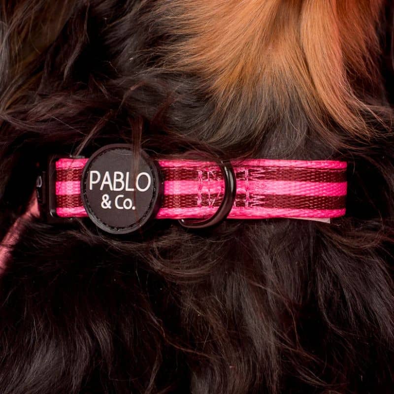 COLLIER POUR CHIEN TISSU - RAYURES ROSE/BORDEAUX OU BLEU/MARRON - Image 5