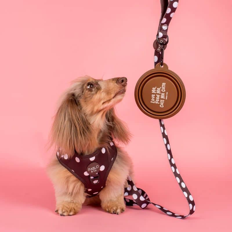 GAMELLE DE VOYAGE PLIABLE POUR CHIEN - "CALL ME CUTE", "WOOF" & "CANINE CLUB" - Image 5