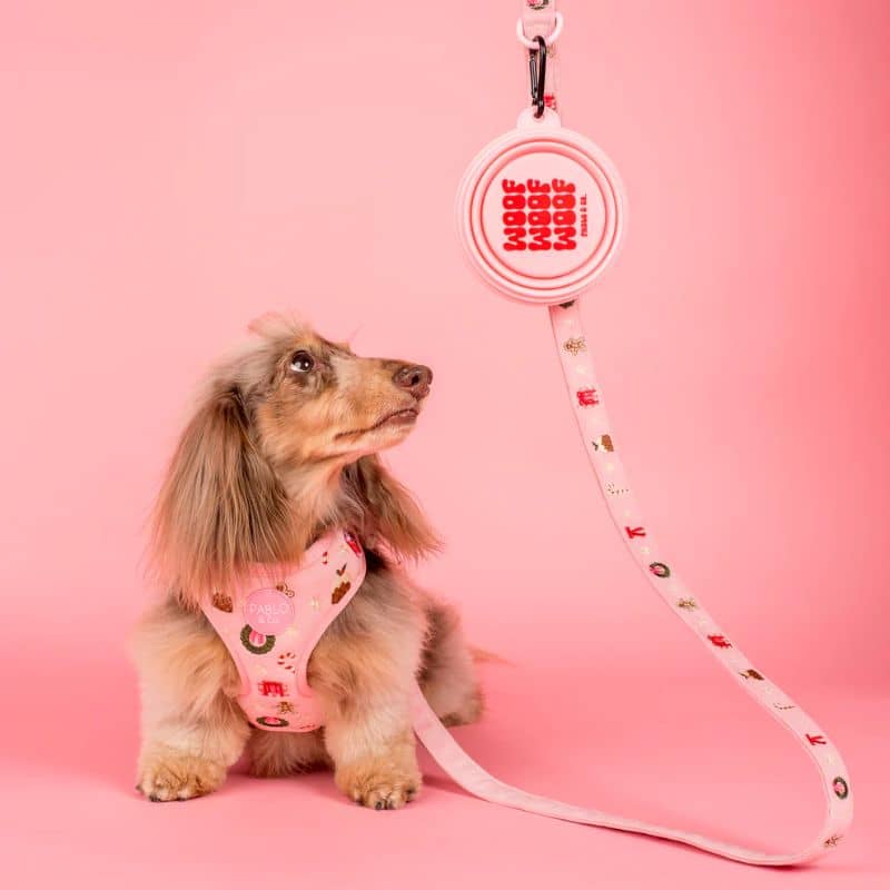 GAMELLE DE VOYAGE PLIABLE POUR CHIEN - "CALL ME CUTE", "WOOF" & "CANINE CLUB" - Image 7