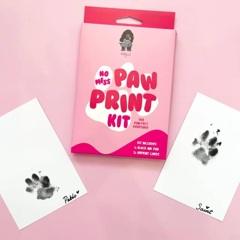 KIT EMPREINTE DE PATTE POUR CHIEN & CHAT - NO MESS PAW PRINT - Image 3