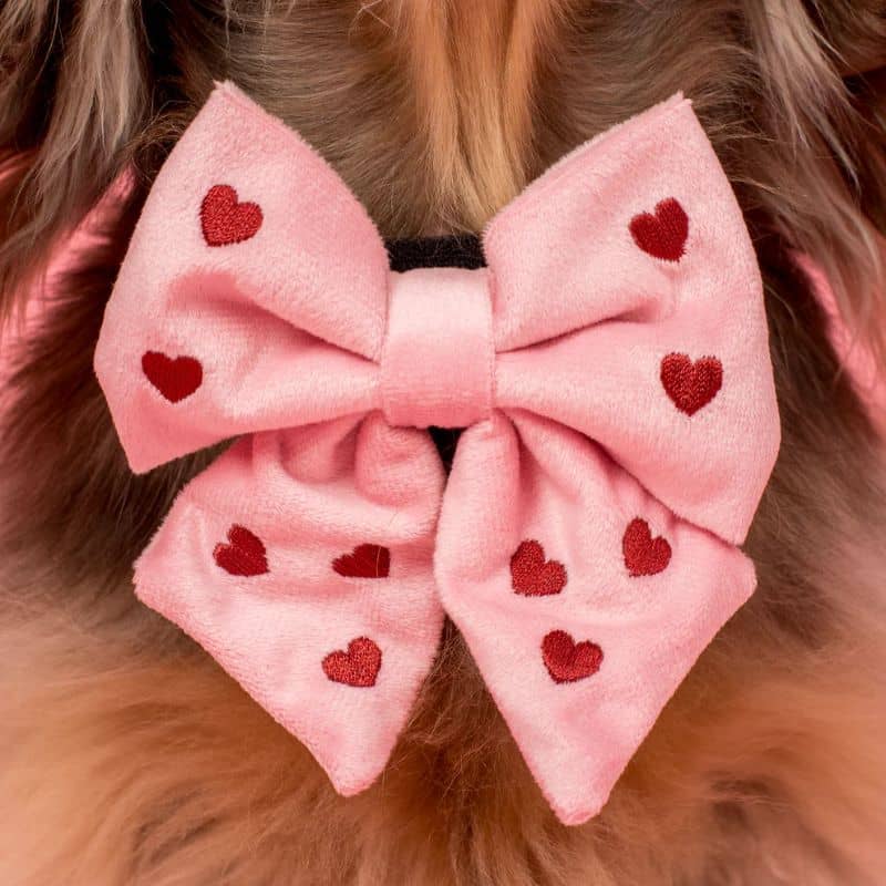 NOEUD PAPILLON SAILOR EN VELOURS POUR CHIEN - ALL YOU NEED IS LOVE - Image 4
