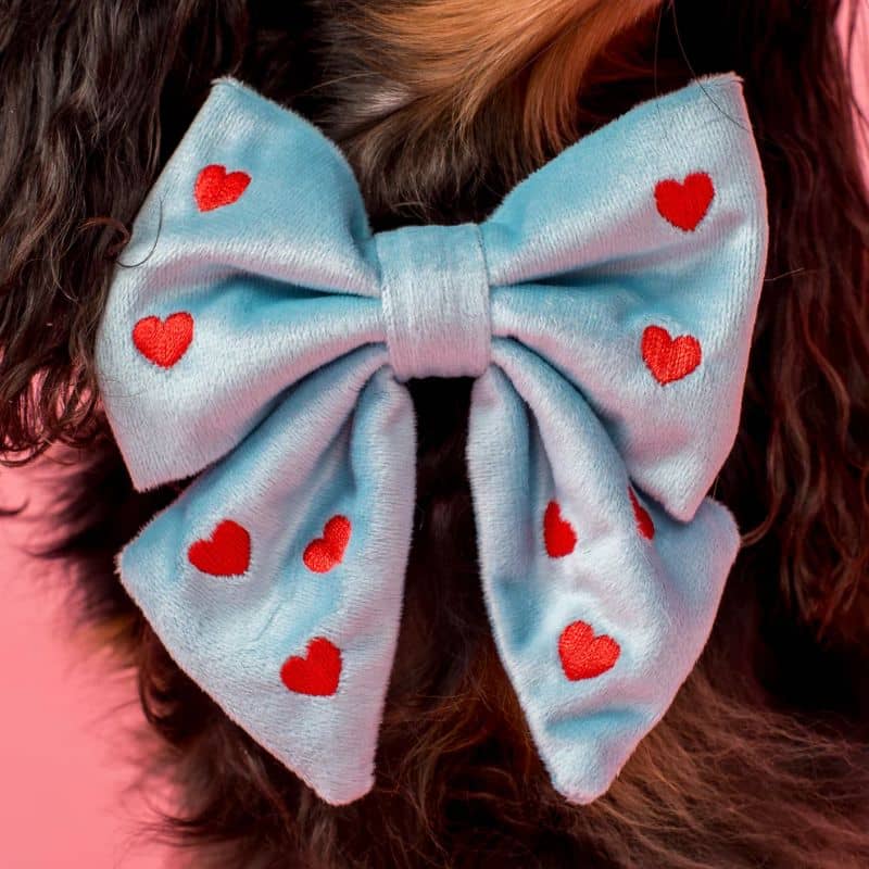 NOEUD PAPILLON SAILOR EN VELOURS POUR CHIEN - ALL YOU NEED IS LOVE - Image 5