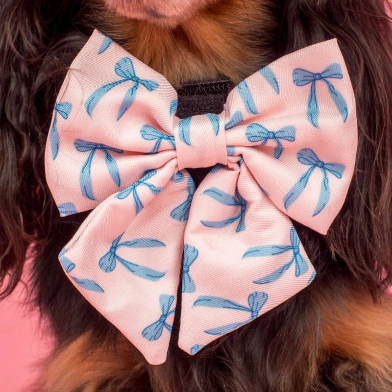 NOEUD PAPILLON SAILOR POUR CHIEN - NOEUD "BABY BLUE" - Image 3
