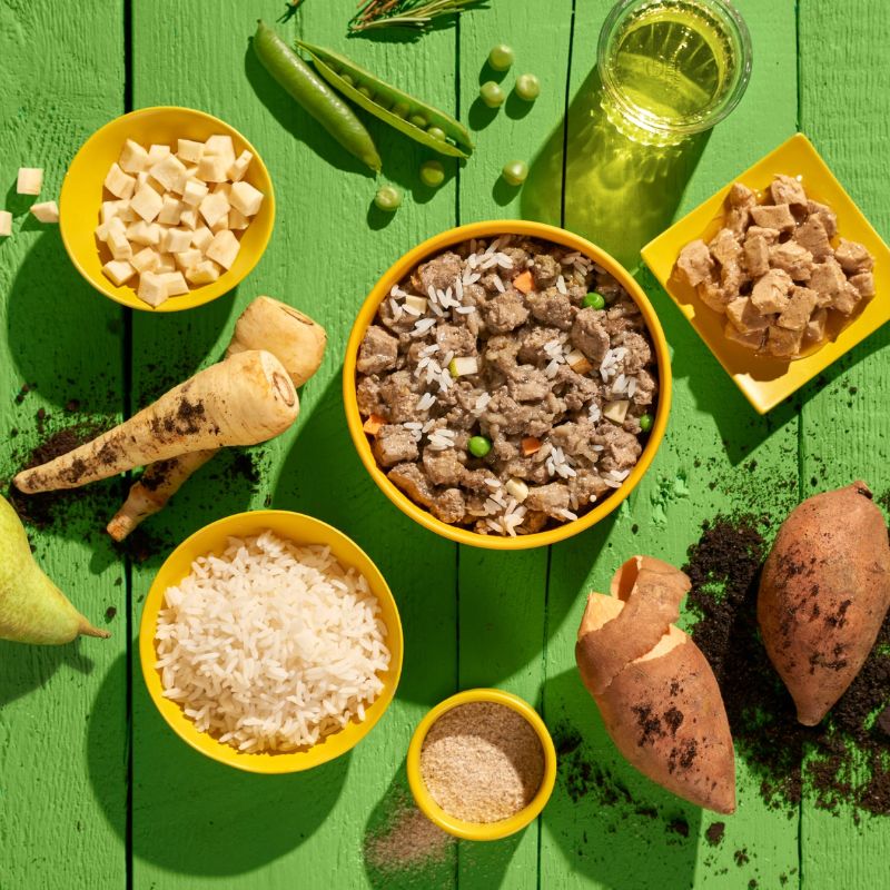 PÂTÉE VEGAN POUR CHIEN - [SANS] POULET 🌱 - Image 3
