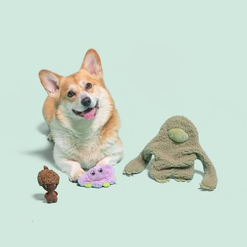 PELUCHE APAISANTE AUX HUILES ESSENTIELLES POUR CHIEN - MUSK - Image 2