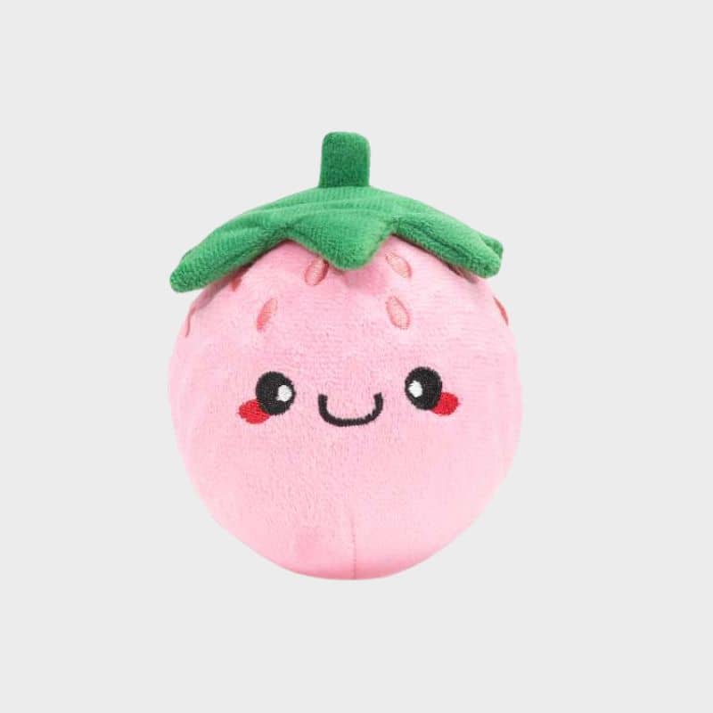 PELUCHE AVEC BALLE POUR CHIEN - FRAISE đ