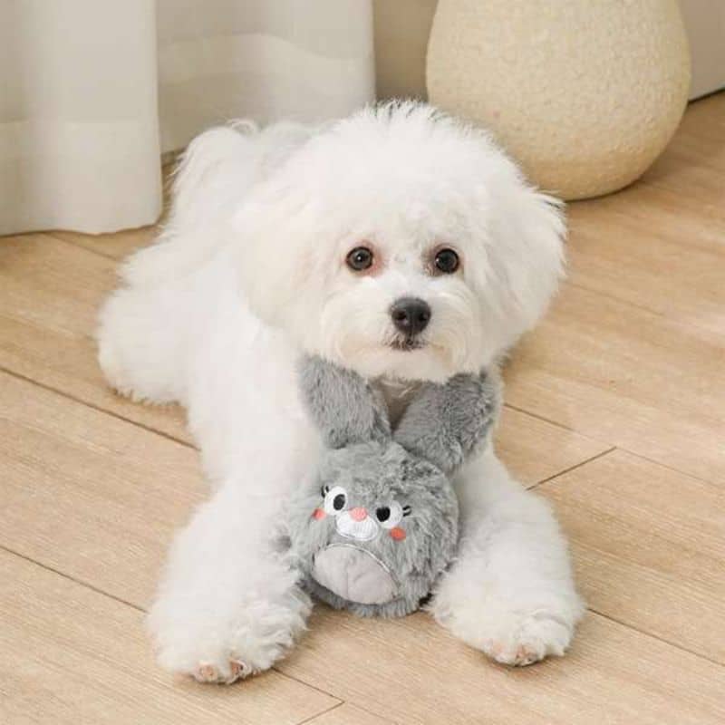 PELUCHE AVEC BALLE POUR CHIEN - LAPIN đ° - Image 2