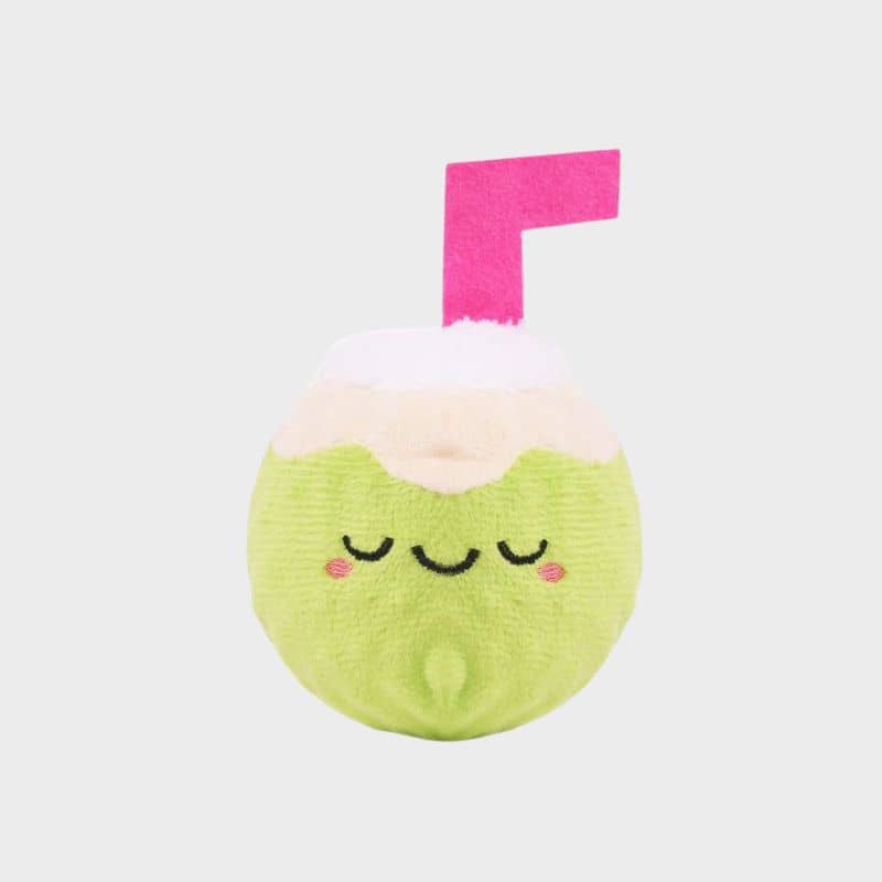 PELUCHE AVEC BALLE POUR CHIEN - NOIX DE COCO 🥥