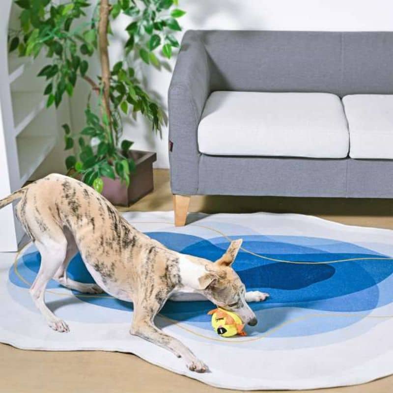 PELUCHE AVEC BALLE POUR CHIEN - SOLEIL ☀️ - Image 2
