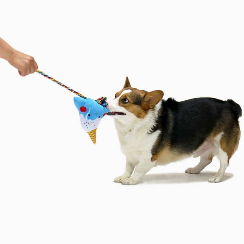 PELUCHE POUR CHIEN AVEC CORDE - MONT FUJI ICE CREAM ⛰️🍦 - Image 3
