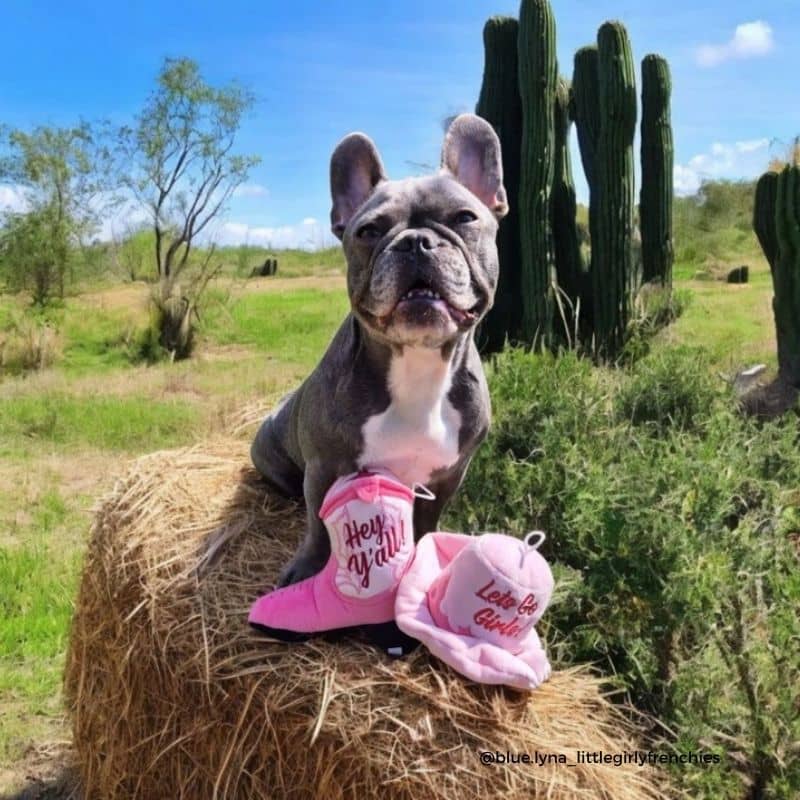 PELUCHE POUR CHIEN - CHAPEAU DE COWBOY ROSE - Image 6