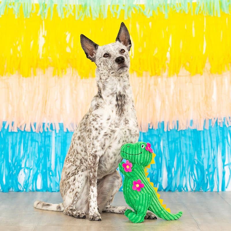PELUCHE POUR CHIEN - DINOSAURE CACTUS 🌵 - Image 4