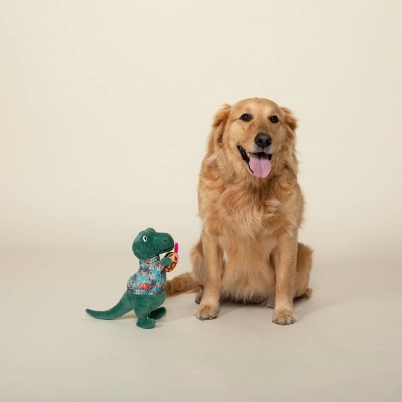 PELUCHE POUR CHIEN - DINOSAURE EN VACANCES 🍹 - Image 4