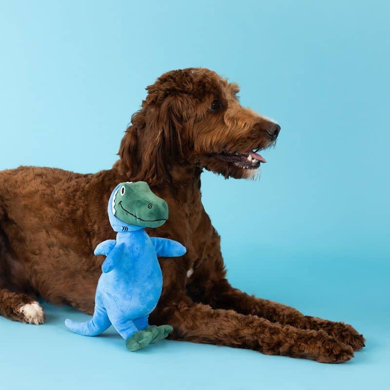 PELUCHE POUR CHIEN - DINOSAURE REQUIN 🦈 - Image 3