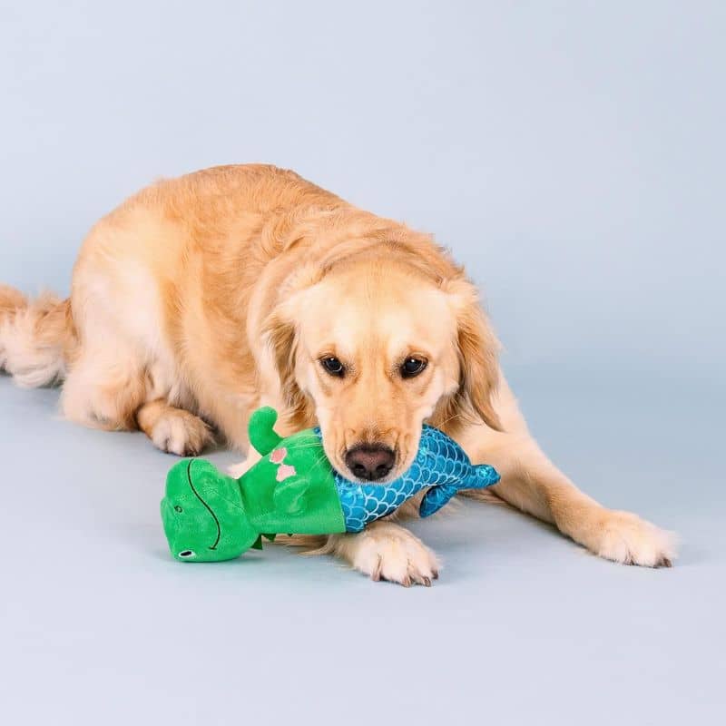 PELUCHE POUR CHIEN - DINOSAURE SIRÈNE 🧜‍♀️ - Image 4