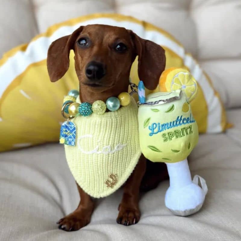 PELUCHE POUR CHIEN - LIMUTTCELLO SPRITZ 🍹 - Image 5