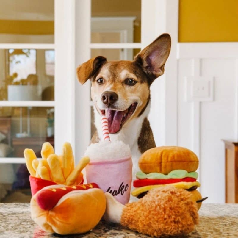 PELUCHE POUR CHIEN - MILKSHAKE (2 TAILLES DISPO) - Image 4