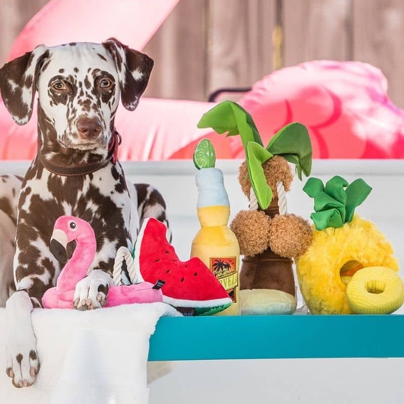 PELUCHE POUR CHIEN - PART DE PASTĂQUE đ - Image 5