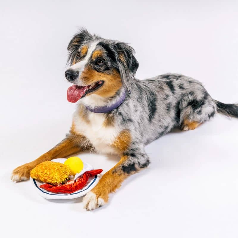PELUCHE POUR CHIEN PLAY x IHOP - ENGLISH BREAKFAST đ„ - Image 2