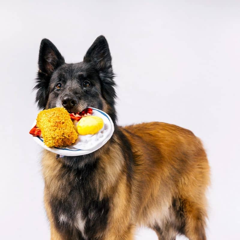 PELUCHE POUR CHIEN PLAY x IHOP - ENGLISH BREAKFAST đ„ - Image 5