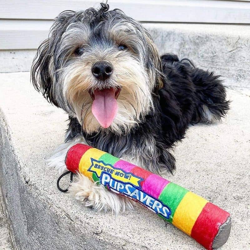 PELUCHE POUR CHIEN - PUPSAVER - Image 2