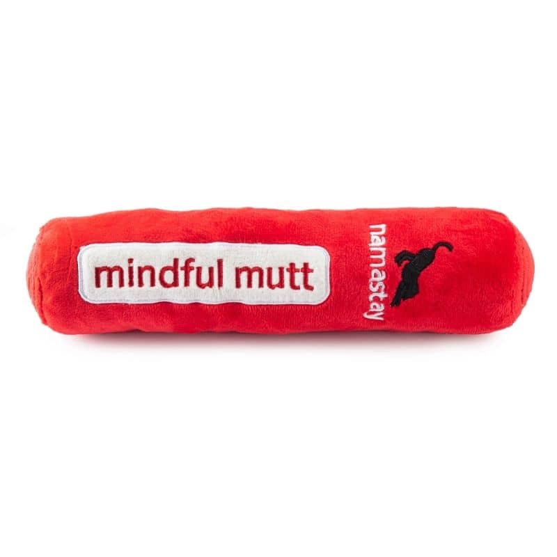 PELUCHE POUR CHIEN - TAPIS DE YOGA đ§ - Image 3