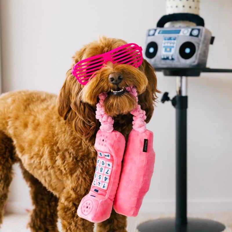 PELUCHE POUR CHIEN - TÉLÉPHONE ROSE ☎️ - Image 2
