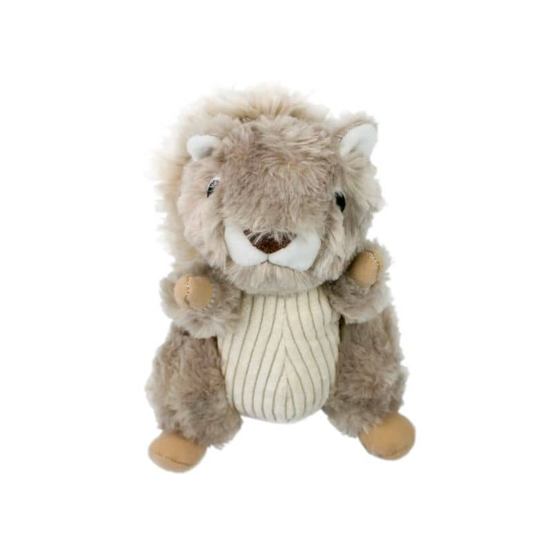 PELUCHE QUI BOUGE POUR CHIEN - ÉCUREUIL 🐿️ - Image 5