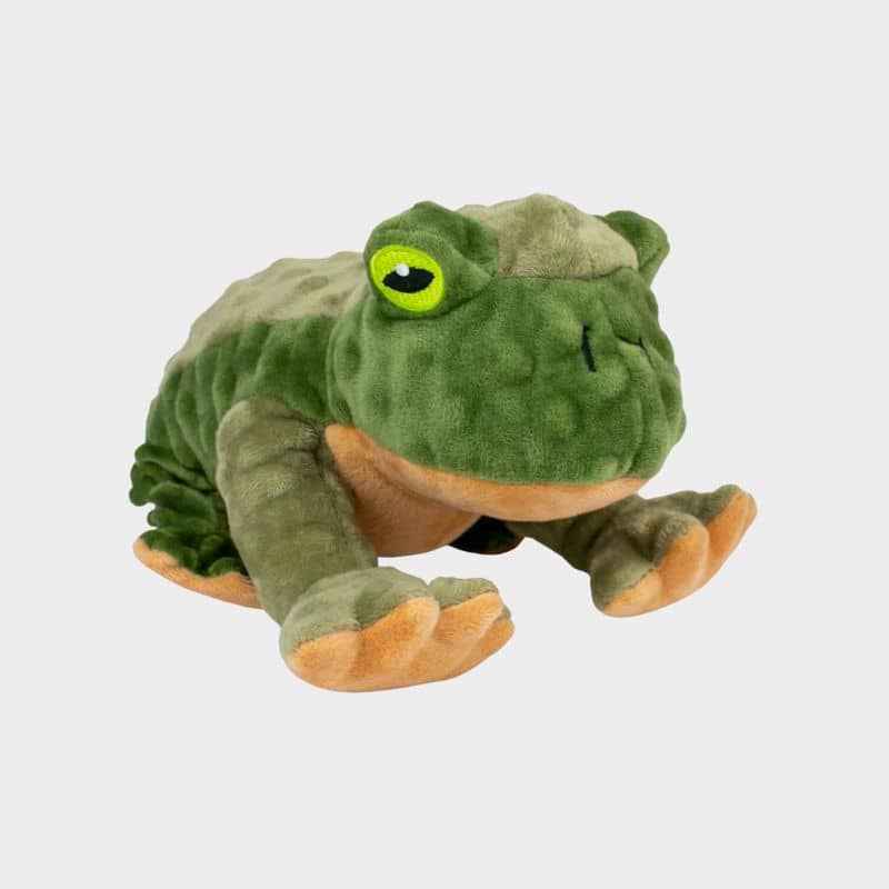 PELUCHE QUI BOUGE POUR CHIEN - GRENOUILLE 🐸