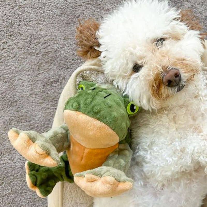PELUCHE QUI BOUGE POUR CHIEN - GRENOUILLE 🐸 - Image 3