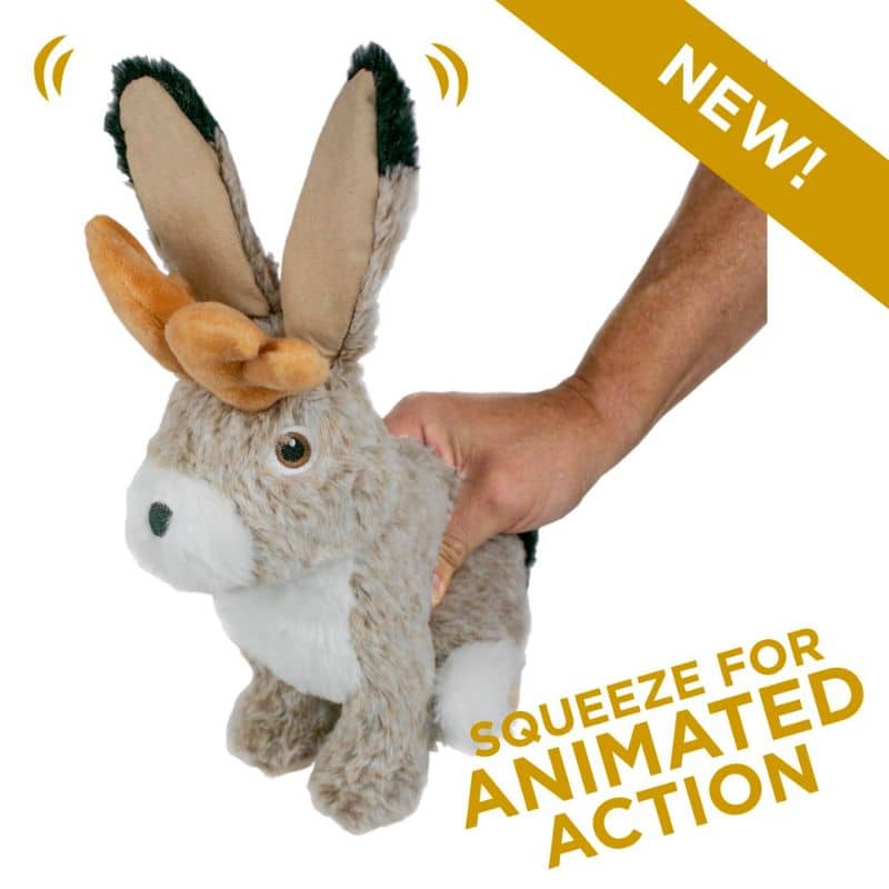 PELUCHE QUI BOUGE POUR CHIEN - JACKALOPE - Image 2