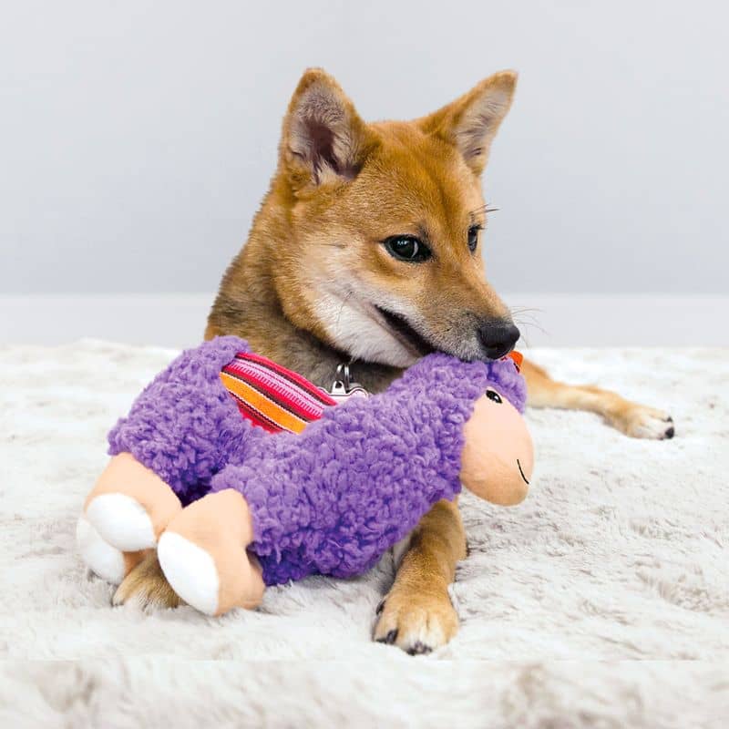PELUCHE RÉSISTANTE KONG POUR CHIEN - LAMA - Image 2