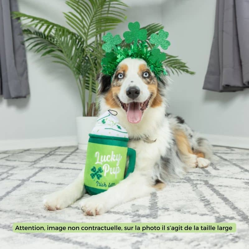 PELUCHE POUR CHIEN - LUCKY PUP IRISH LATTE đ - Image 2