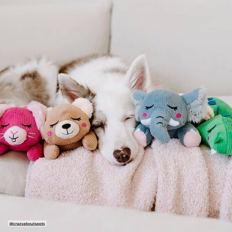 PELUCHE SILENCIEUSE POUR CHIEN - CROCODILE đ - Image 3