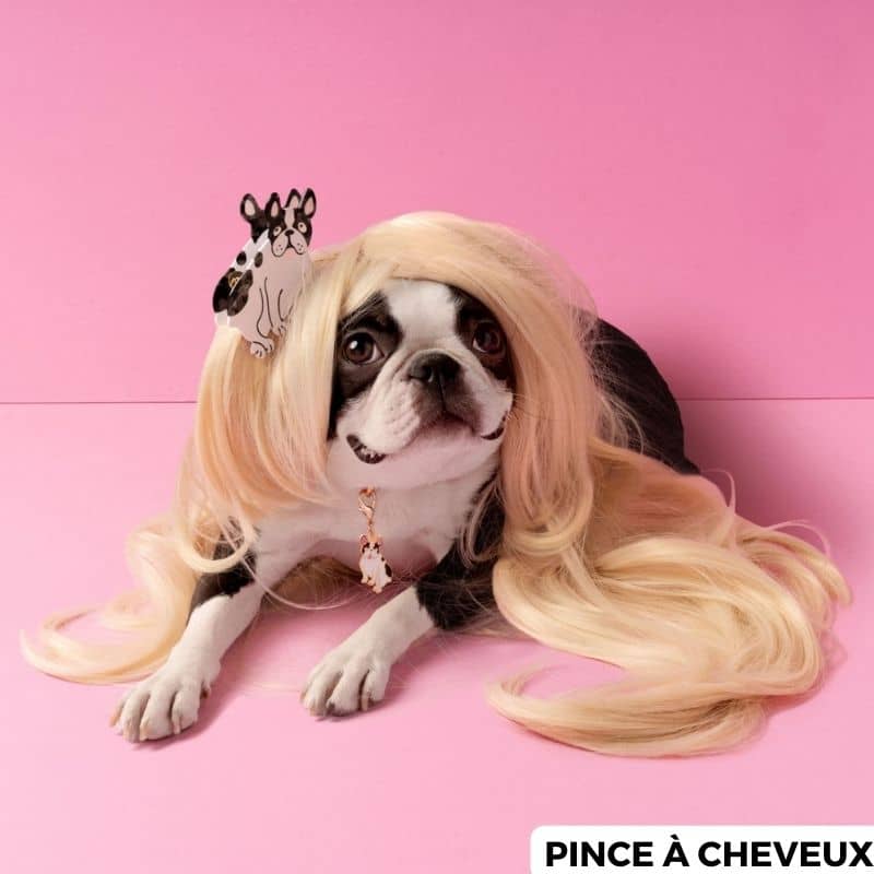 PINCE À CHEVEUX / BARRETTE - BOULEDOGUE (2 TAILLES DISPO) - Image 2