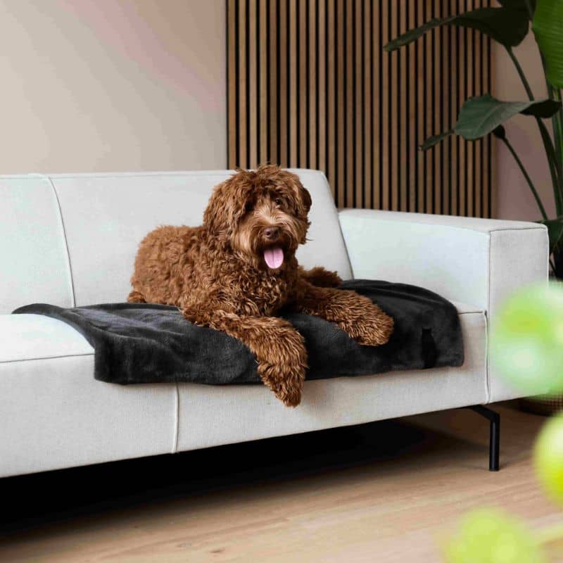 PLAID POUR CHIEN EN FAUSSE FOURRURE - 3 COULEURS DISPO - Image 6