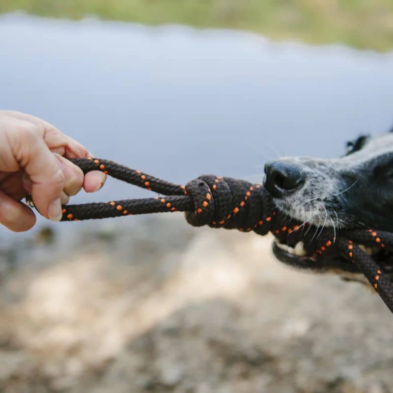 JOUET CORDE POUR CHIEN - TUG ROPE - Image 4