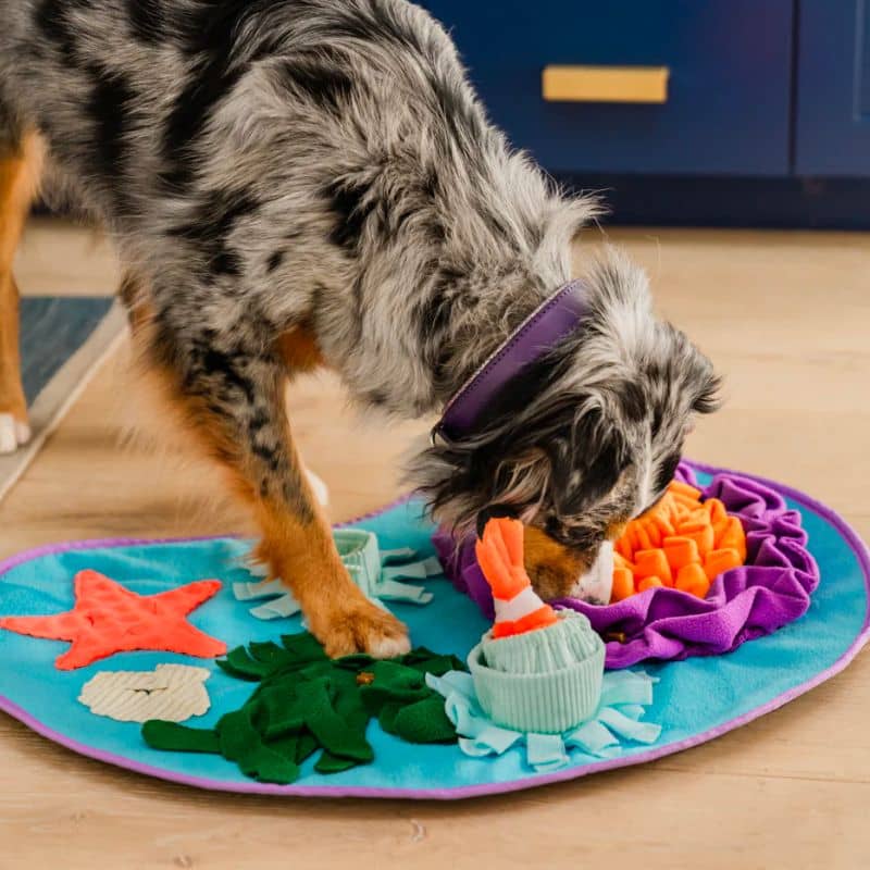 JEU D'OCCUPATION, TAPIS DE FOUILLE POUR CHIEN - FOND MARIN đȘžđ - Image 4
