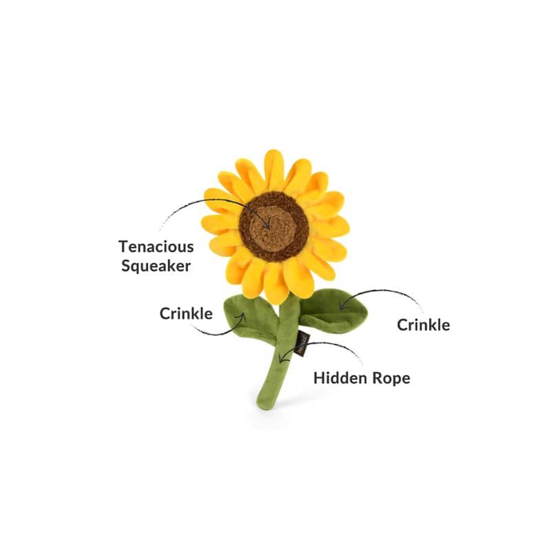 PELUCHE POUR CHIEN - TOURNESOL 🌻 - Image 3