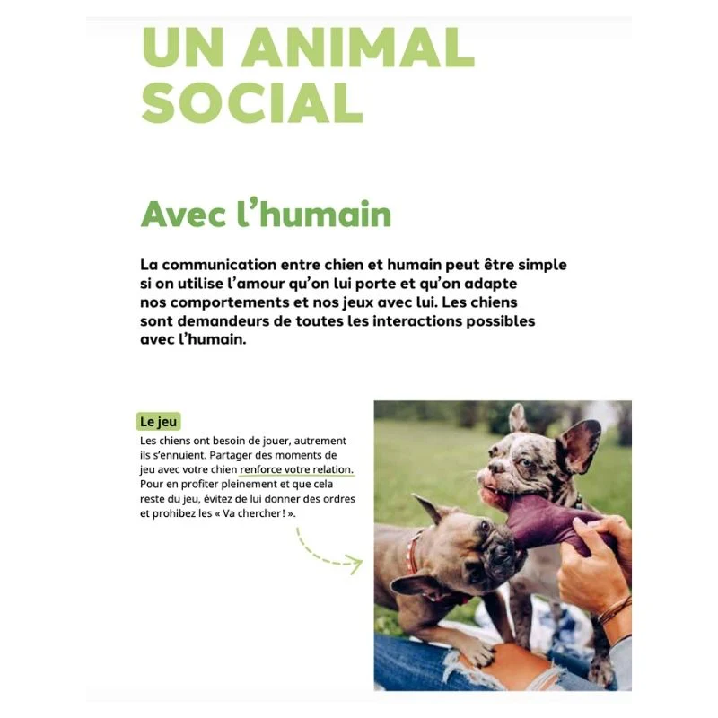POURQUOI MON CHIEN FAIT-IL ÇA ? PAR CAMILLE GENISSEL - Image 2